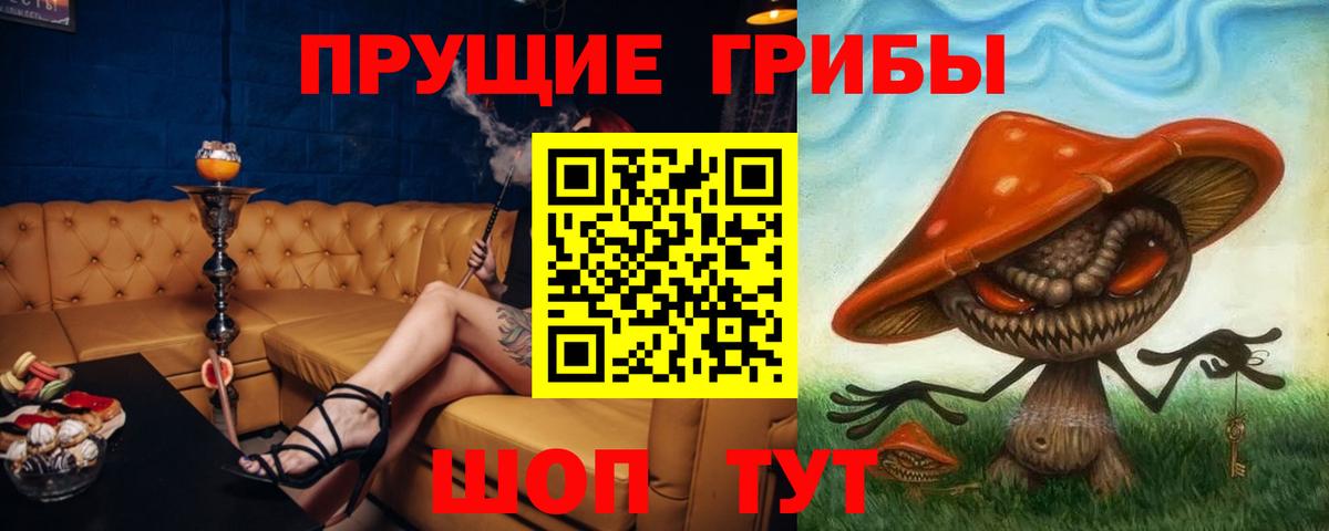 Псилоцибиновые грибы Cubensis Оренбург