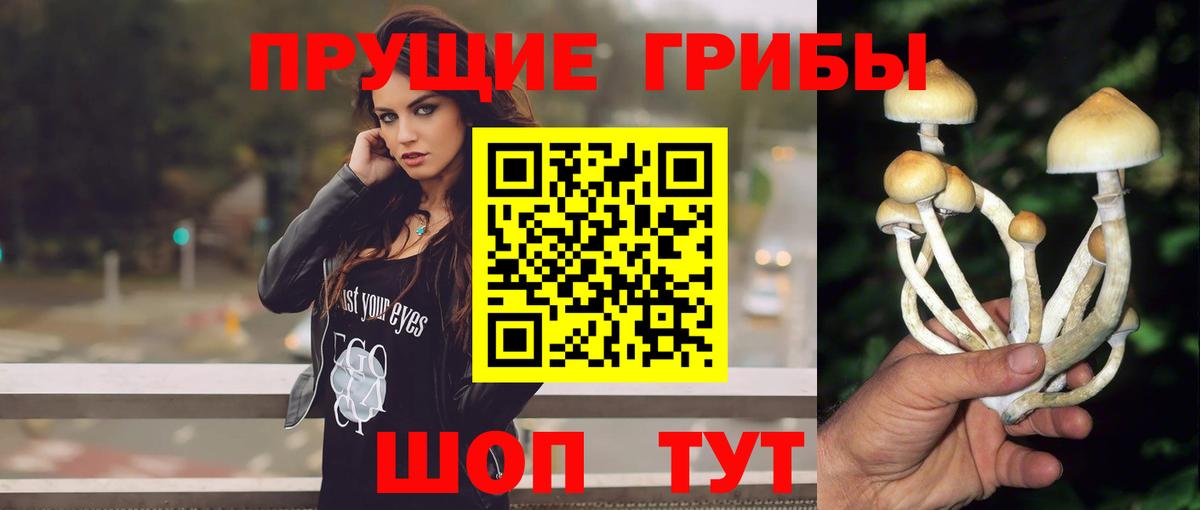 Псилоцибиновые грибы Psilocybe  Псилоцибиновые грибы мухоморы  Вход с VPN  Оренбург 
